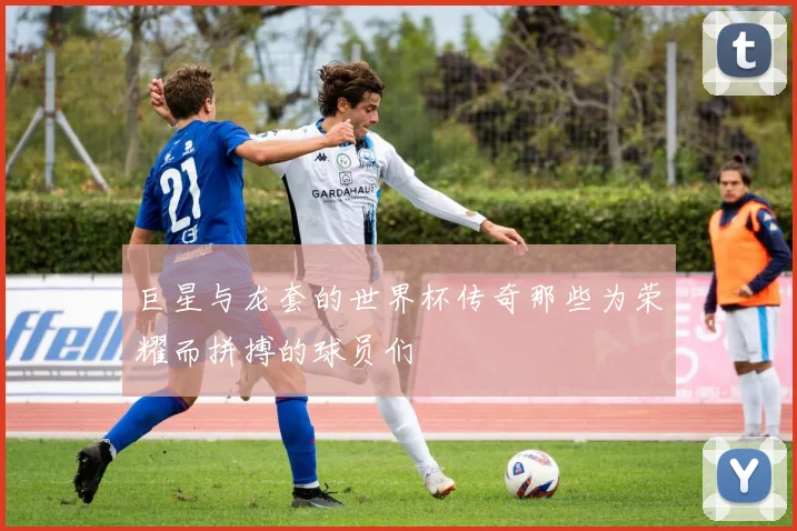 巨星与龙套的世界杯传奇那些为荣耀而拼搏的球员们